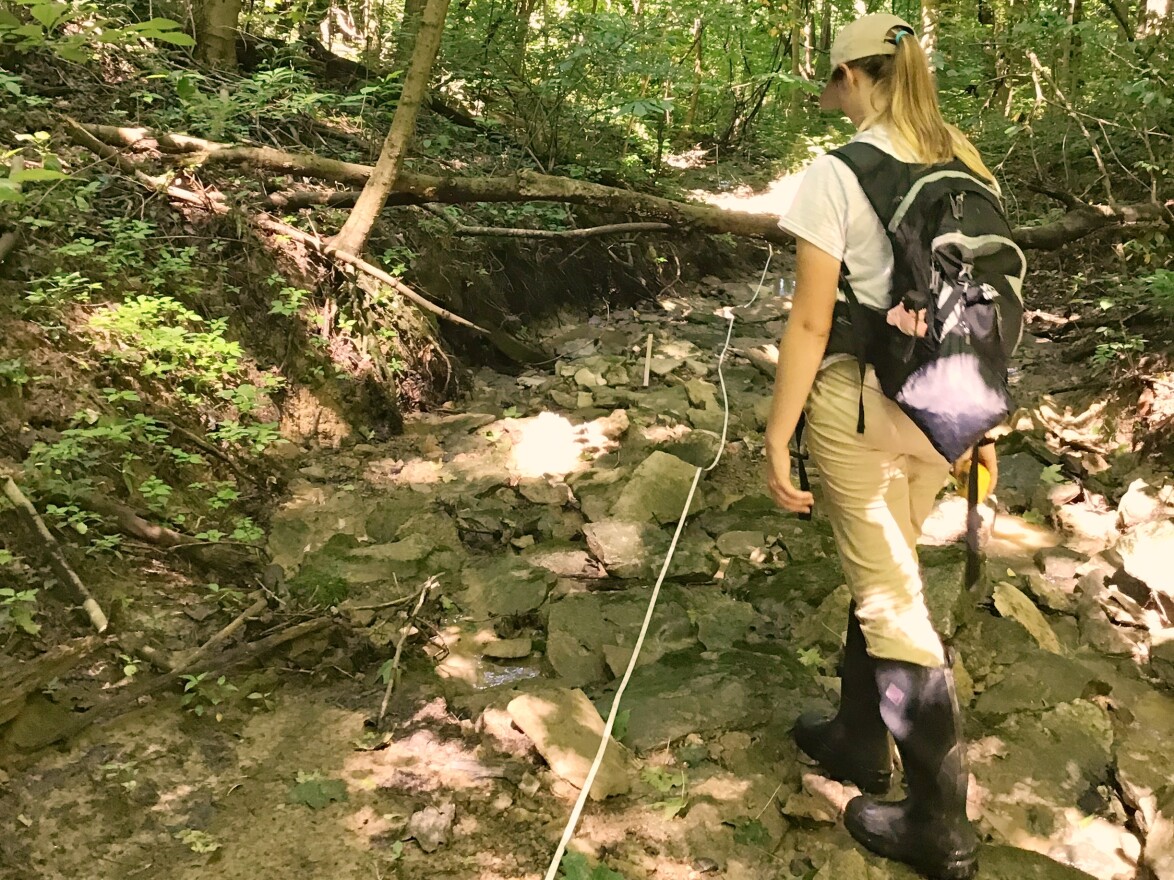 Merissa Meyer, a conservation and parks technician, helps surveys a stream at Shawnee Lookout.